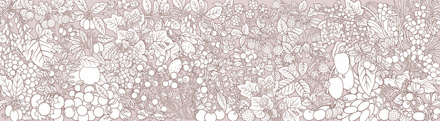 Berries, fruits hand drawn vector doodles banner