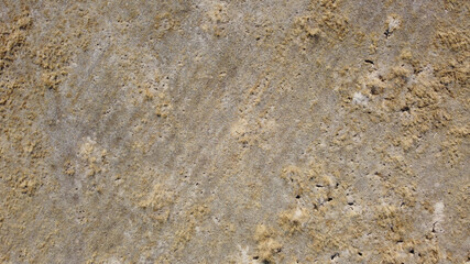 tło ziemia natura brąz bruzdy © Piotr