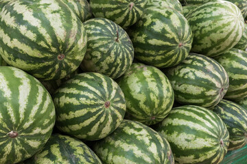green striped watermelons in the street market as a background