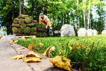 Landscaping in city parks. A worker in overalls is planting grass using rolls of prepared lawn. Unrecognizable people. Selective focus