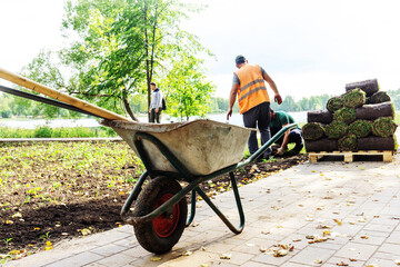 Landscaping of an urban resting place. Rolls of grass on a pallet while planting a lawn in a park....