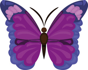 Vector illustration of a cartoon butterfly