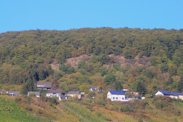 Fototapeta premium Homes in the Forest