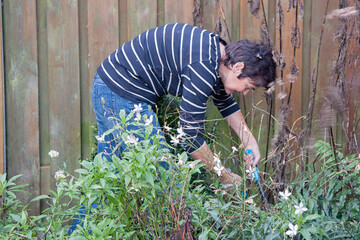 Fototapeta premium Woman working in garden of her house
