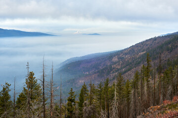 Foggy mountain view from Green Ridge Lookout in Central Oregon with Mt Hood at background.