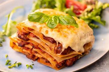 lasagna on a plate