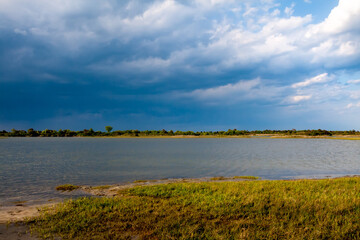 Salt marsh wetlands under a cloudy sky with rain in the distance at Assateague Island National Seashore, Maryland