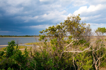 Salt marsh wetlands under a cloudy sky with rain in the distance at Assateague Island National Seashore, Maryland