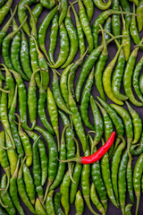 green and red chili. shot at home at chinchwad in Pune on 19 july 2020