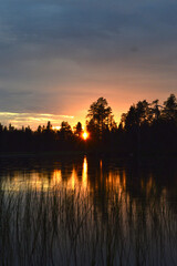 Finnish summer night. Lake and sunset. Fading light, pastel colors. Water grass in the foreground. Serene and beautiful nature.