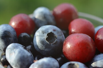Blueberries and cherries on a plate - gifts of summer