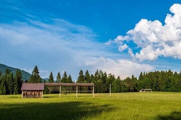 Summer has arrived in the italian alps