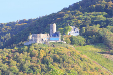 Fototapeta na wymiar Landshut Castle Bernkastel-Kues Germany
