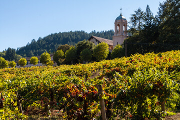 Fototapeta na wymiar Winery and Terraced Vineyards,Napa Valley, California,USA
