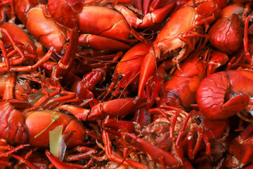 A lot of cooked signal crayfish