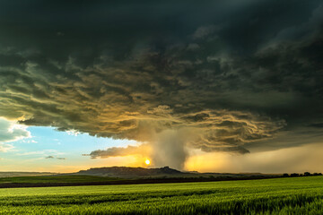 Tornadic Cell over Grassy Field