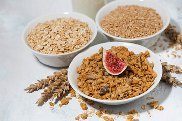 range of products made from oats for healthy food, closeup