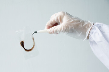 hair sample, curls in a bag in the hands of a laboratory assistant for research by genetic research...