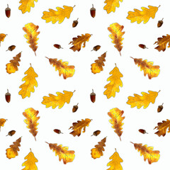 Seamless pattern with oak leaves and acorns on white background. Hand draw illustration.