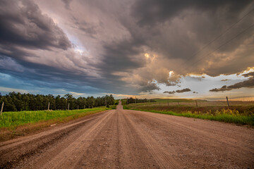 Dirt road in the Great Plains © cherylvb