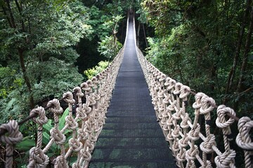 Wooden suspension bridge in the forest - 367367273