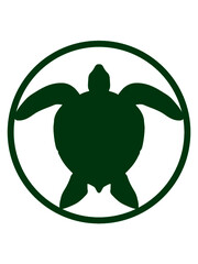 Ring Button Wasserschildkröte Logo 