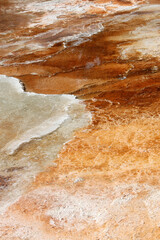 Vibrantly colored, abstract textural geological formations 