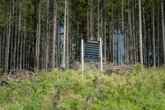 Silt Traps For The European Spruce Bark Beetle