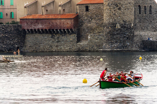 traineras entrenando en el puerto de Colliure, pirineos orientales,Francia, europa