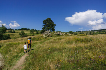 Dolmen Lo Pou, sendero arqueologico de Eyne, pirineos catalanes, comarca de Capcir, Francia © Tolo