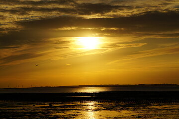 Golden sunset at the beach 