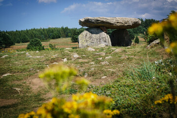 dolmen de La Borda, también llamadosPasquerets, Eyne ,departamento francés de Pirineos Orientales,  Capcir, Francia © Tolo