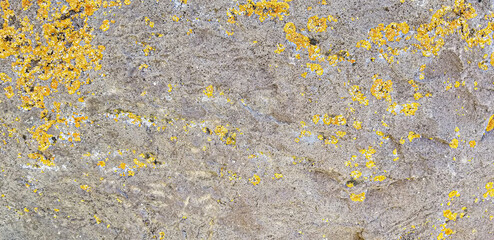 Abstract authentic authentic colored old stones backgrounds