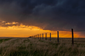 Midwest sunset on farmland