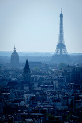 Fototapeta premium torre Eifiel desde Cathédrale Notre Dame, Paris, France,Western Europe