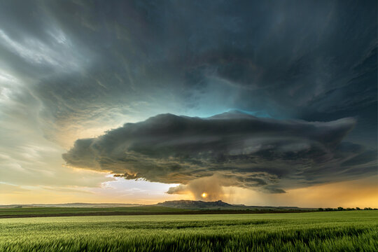 Tornadic Cell over Grassy Field.