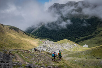 Obraz premium cabañas de Ansabere, región de Aquitania, departamento de Pirineos Atlánticos, Francia
