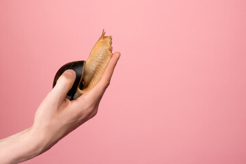 snail sits on  beautiful male hand, creative concept,
