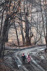 Fototapeta na wymiar children go on the road along the forest