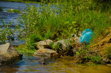 protect nature plastic pollution of rivers and lakes. Protection of Nature