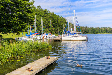 Ducks on wooden lake pier and sailboats mooring in small marina Janus near Ruciane Nida town, Mazury Lake District, Poland - obrazy, fototapety, plakaty