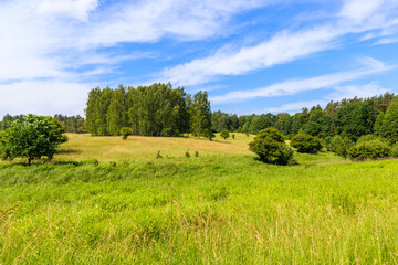 Green summer meadow and forest landscape in Wygryny village near lake Nidzkie, Mazury Lake District, Poland