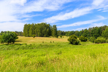 Fototapeta na wymiar Green summer meadow and forest landscape in Wygryny village near lake Nidzkie, Mazury Lake District, Poland