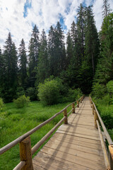 Fototapeta na wymiar wooden bridge above the creek among the trees. walkway through forest. location synevyr national park, ukraine