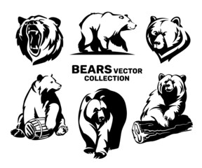 Bears vector collection . Illustration isolated on white background for print and poster.
