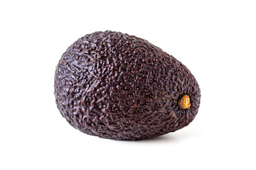 Hass avocado with dark brown rough skin