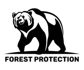 Bear on white background - typography design.