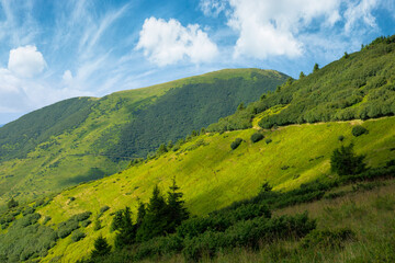 path through grassy alpine mountain meadow. beautiful landscape of carpathians. clouds on the sky