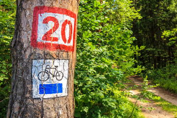 Cycling sign on tree on forest road near Mikolajki town, Masurian Lakes, Poland