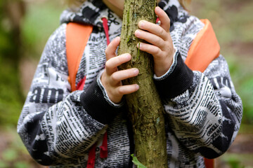 small boy holds on to a thin tree trunk with his hands